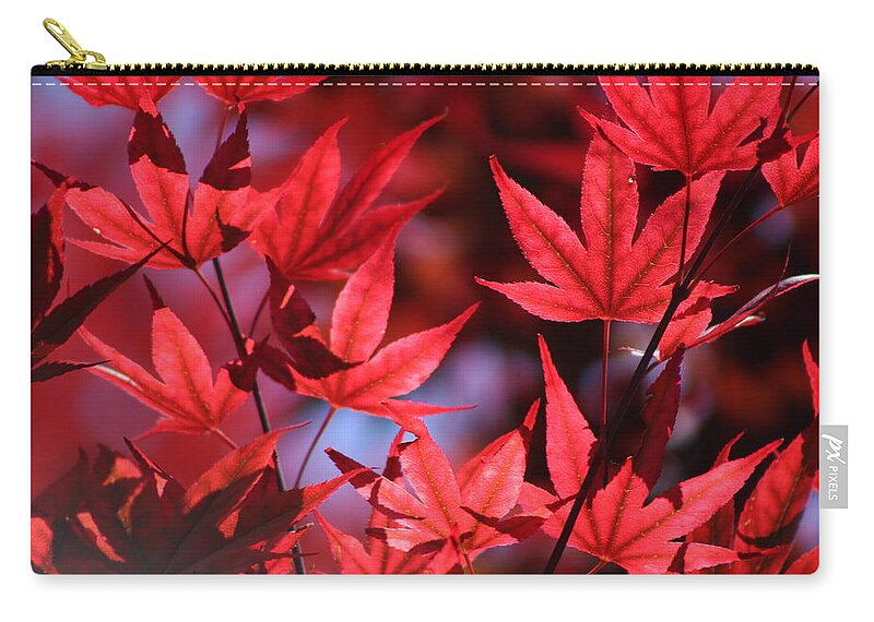 Japanese Maple Zip Pouch featuring the photograph Sangria Red Japanese Maple Leaves on Ce Soir by Colleen Cornelius