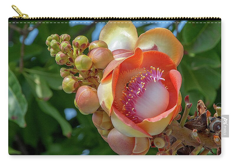 Nature Carry-all Pouch featuring the photograph Sara Tree or Cannonball Tree Flower and Buds DTHN0264 by Gerry Gantt