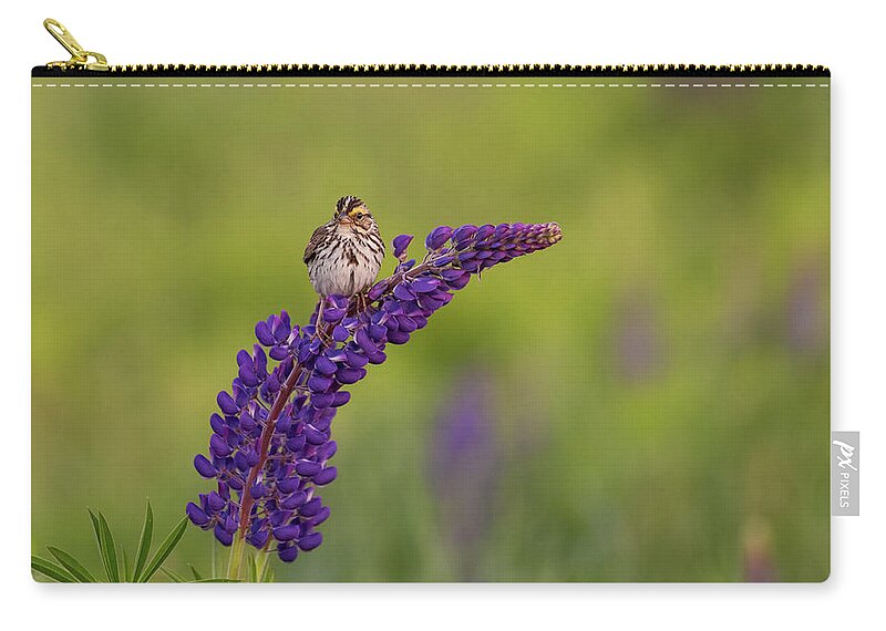 Savannah Sparrow Zip Pouch featuring the photograph Savannah Sparrow by Rob Davies