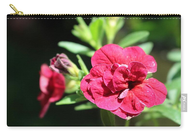 Geranium Carry-all Pouch featuring the photograph Scarlet Geranium in Cape May by Christopher Lotito