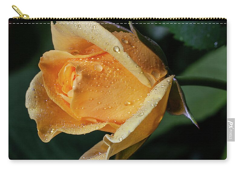 Rose Zip Pouch featuring the photograph Scintillator by Doug Norkum
