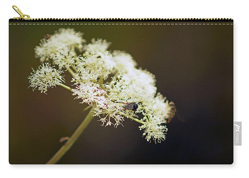 Scotland Carry-all Pouch featuring the photograph SCOTLAND. Loch Rannoch. White Flowerhead. by Lachlan Main