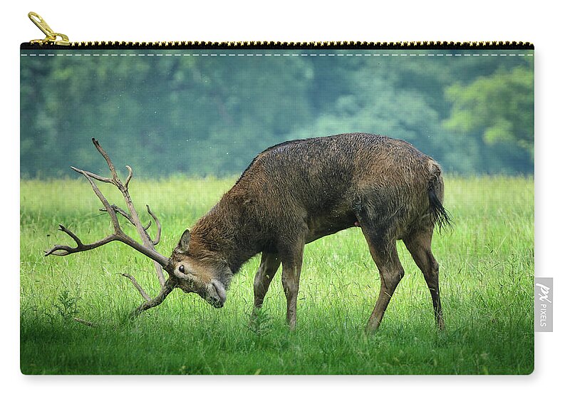 Grass Zip Pouch featuring the photograph Scratching About by Martin Hickman Photography
