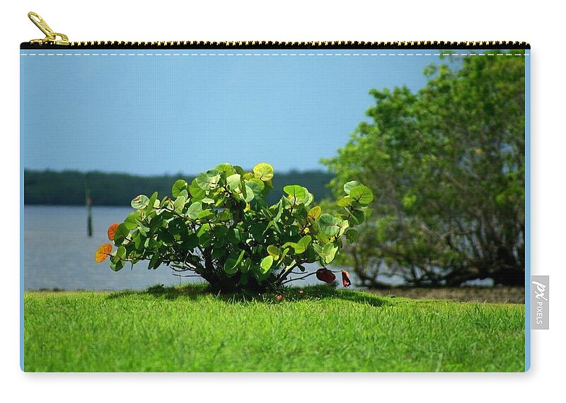 Florida Zip Pouch featuring the photograph Sea Grapes by Lindsey Floyd