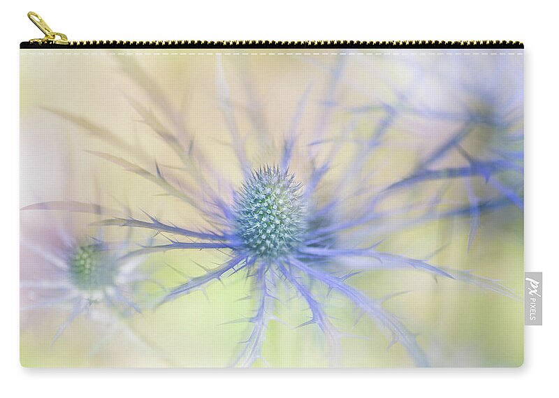 Sea Holly Carry-all Pouch featuring the photograph Sea Holly Dance by Anita Nicholson