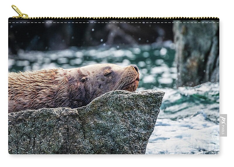 Sea Lion Zip Pouch featuring the photograph Sea lion in Resurrection Bay, Alaska by Lyl Dil Creations