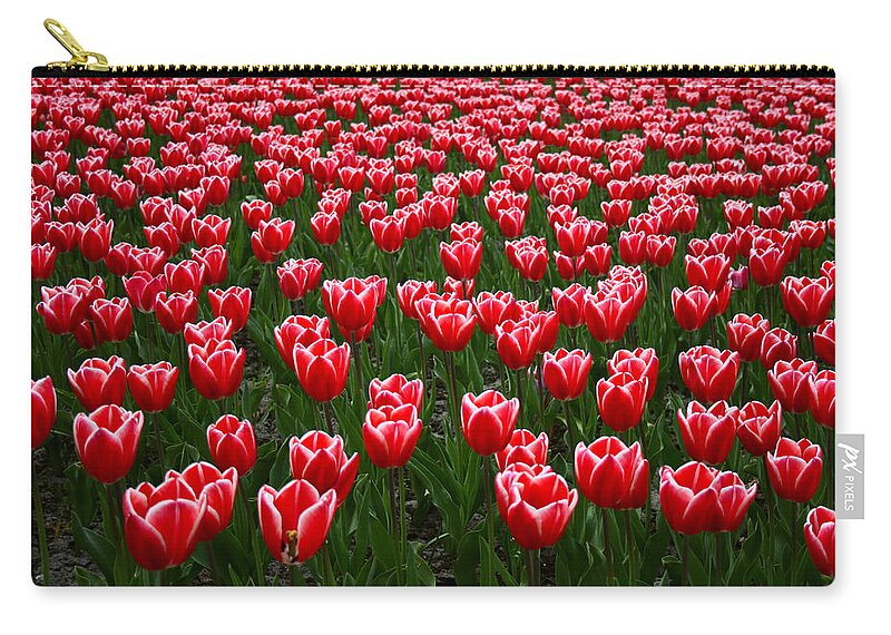 Netherlands Zip Pouch featuring the photograph Sea Of Tulips by Copyright © Sunil Chaturvedi. All Rights Reserved.