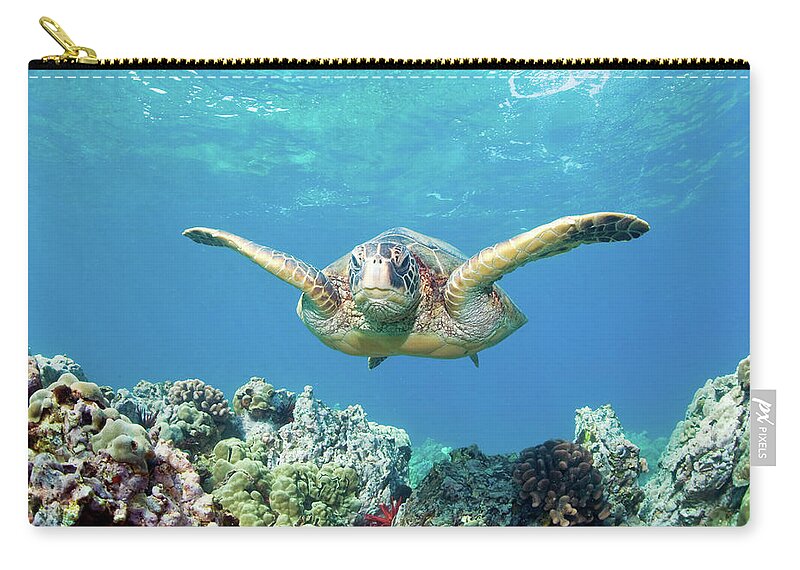 Underwater Zip Pouch featuring the photograph Sea Turtle Maui by M.m. Sweet