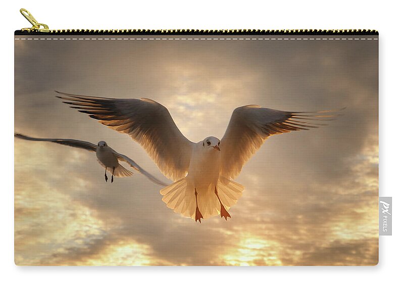 Scenics Zip Pouch featuring the photograph Seagull by Gilg Photographie