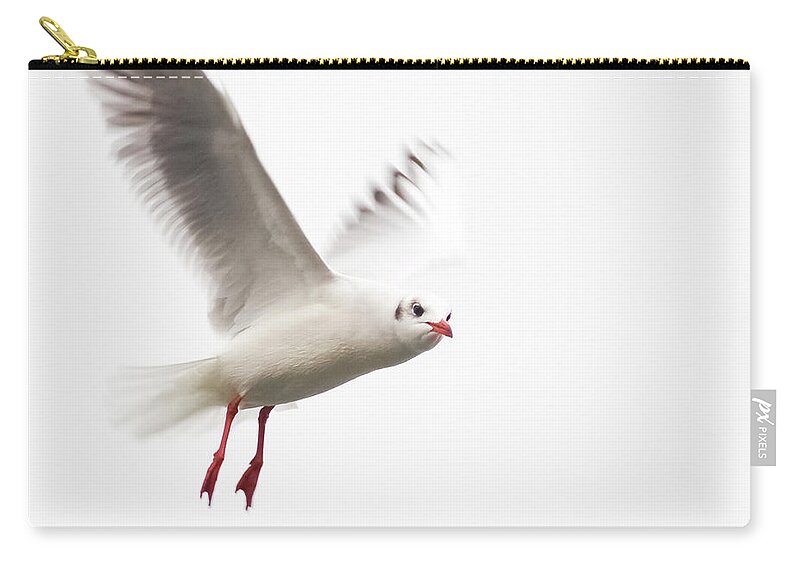 Animal Themes Zip Pouch featuring the photograph Seagull In The Air Looking At Me by Positiv Photography