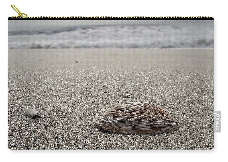 Beach Zip Pouch featuring the photograph Seashell by David Palmer