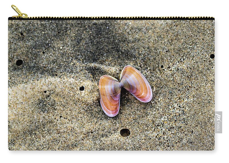 Sea Shell Carry-all Pouch featuring the photograph Landscape Photography - Beaches by Amelia Pearn
