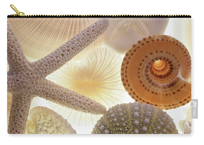 Mollusk Zip Pouch featuring the photograph Seashells And Starfish by Barbara Chase