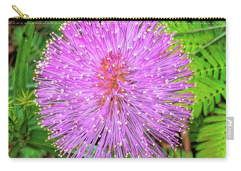 Touch-me-not Zip Pouch featuring the photograph Sensitive Plant - Mimosa pudica by Susan Hope Finley