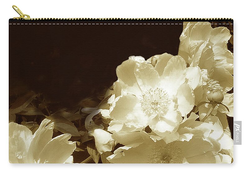 Modern Zip Pouch featuring the photograph Sepia Peonies II by Chariklia Zarris