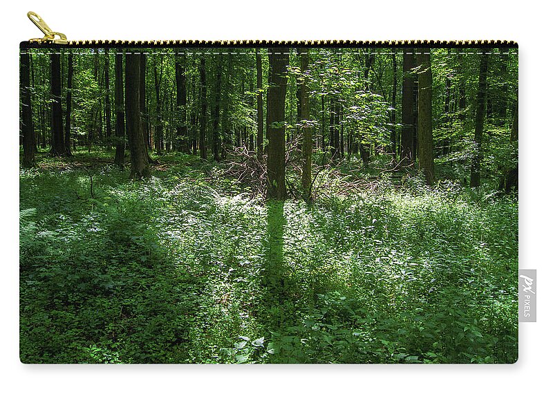 Forest Zip Pouch featuring the photograph Shadow and light in a forest by Sun Travels