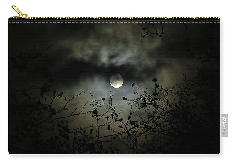 Night Sky Carry-all Pouch featuring the photograph Shadow Moon by Linda Stern