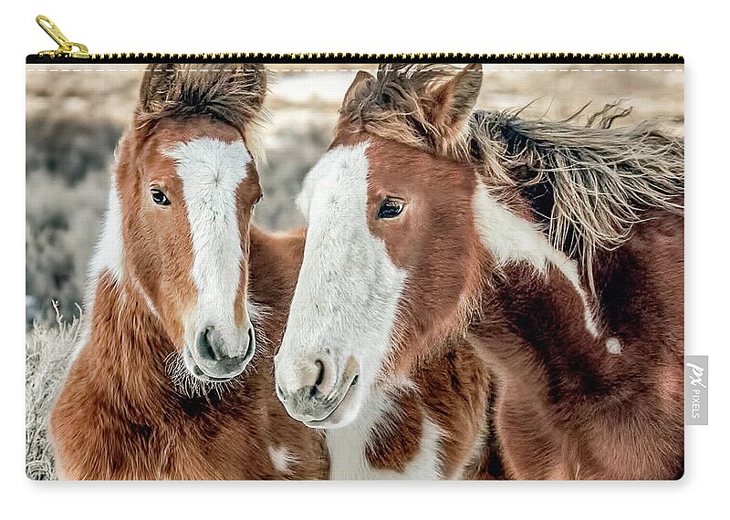 Michelangelo Zip Pouch featuring the photograph Shaggy Winter Mustangs by Dawn Key
