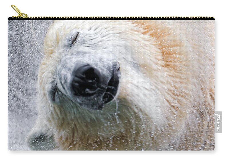 Animal Themes Zip Pouch featuring the photograph Shaking Polar Bear by Picture By Tambako The Jaguar
