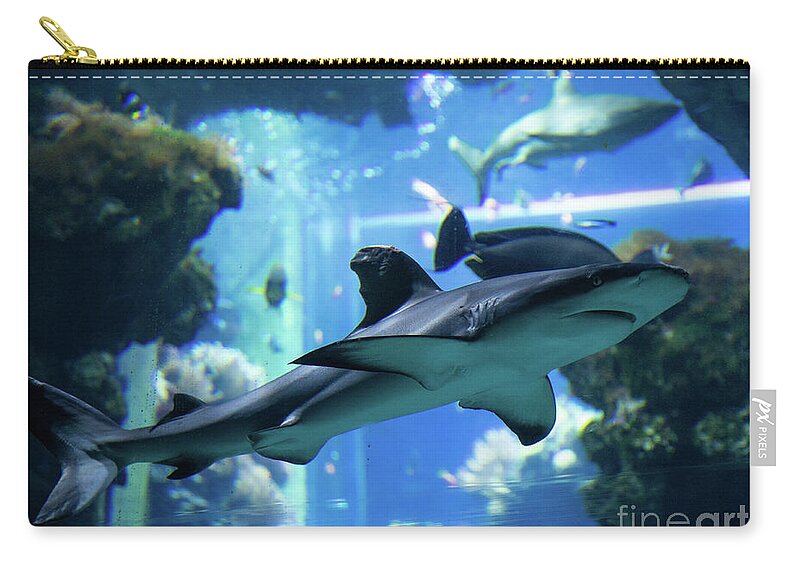 Wayne Moran Photography Zip Pouch featuring the photograph Shart at the Oceanographic Museum of Monaco Jacques Cousteau Museum by Wayne Moran