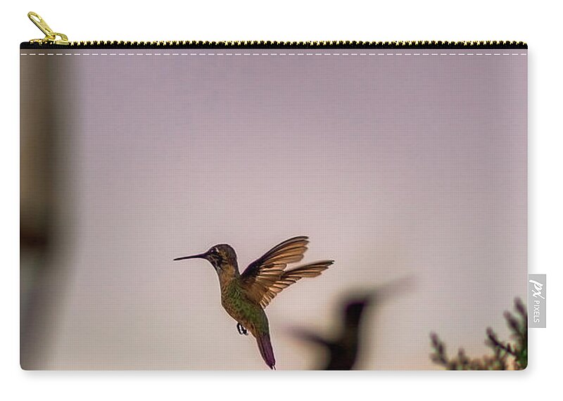 Hummingbird Carry-all Pouch featuring the photograph Shift Change by Peter Hull