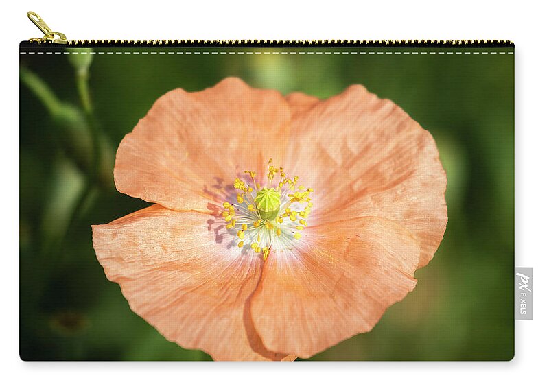Shirley Poppy Carry-all Pouch featuring the photograph Shirley Poppy 2018-17 by Thomas Young