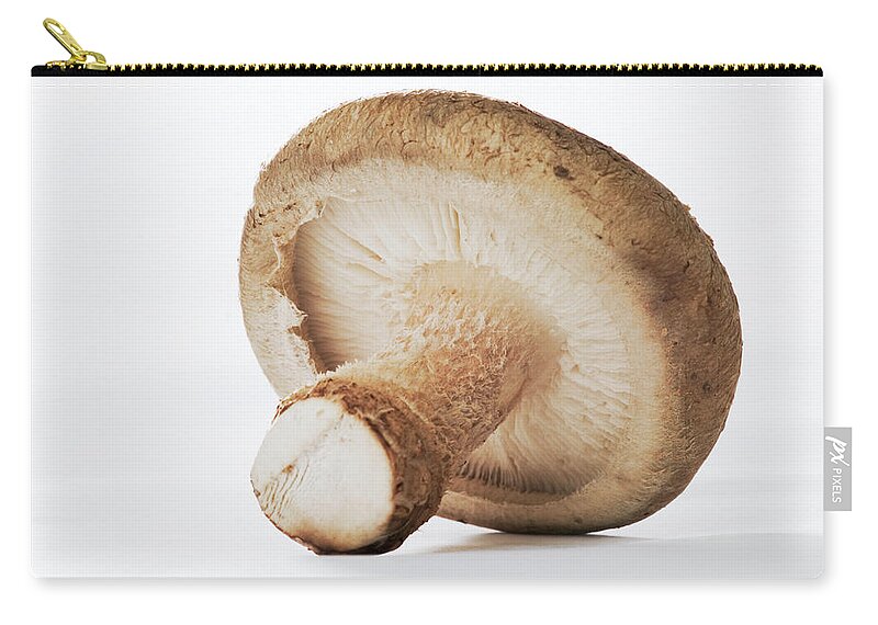 White Background Zip Pouch featuring the photograph Shitake Mushroom, Detail by Martin Harvey