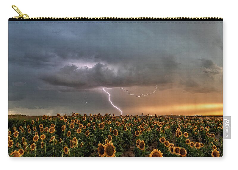 Sunflowers Zip Pouch featuring the photograph Shocking Sunflowers by Tony Hake