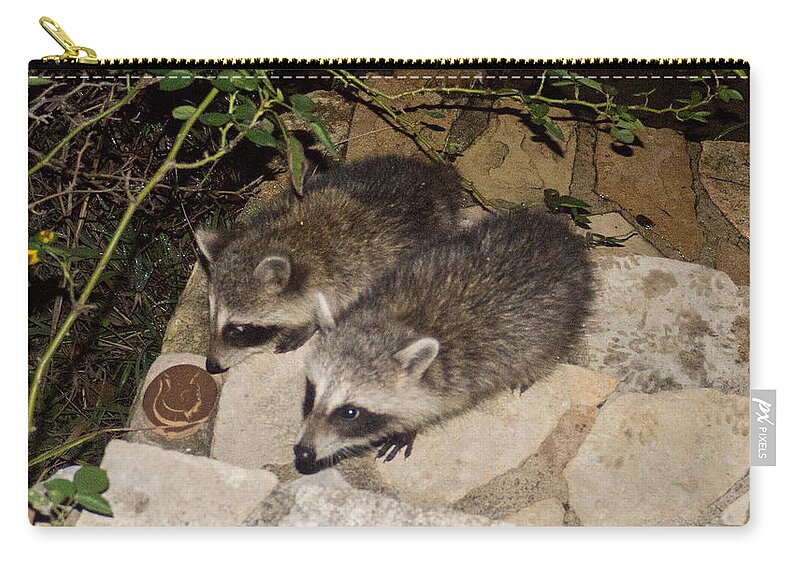 Mammal Zip Pouch featuring the photograph On Their Own by Ivars Vilums