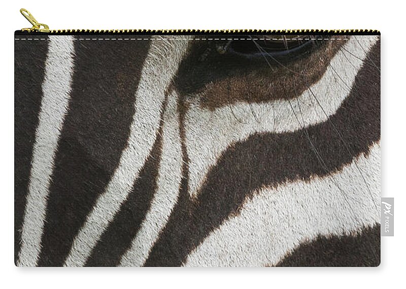 Plains Zebra Zip Pouch featuring the photograph Side View Of A Plains Zebra Head, With by Mint Images - Art Wolfe