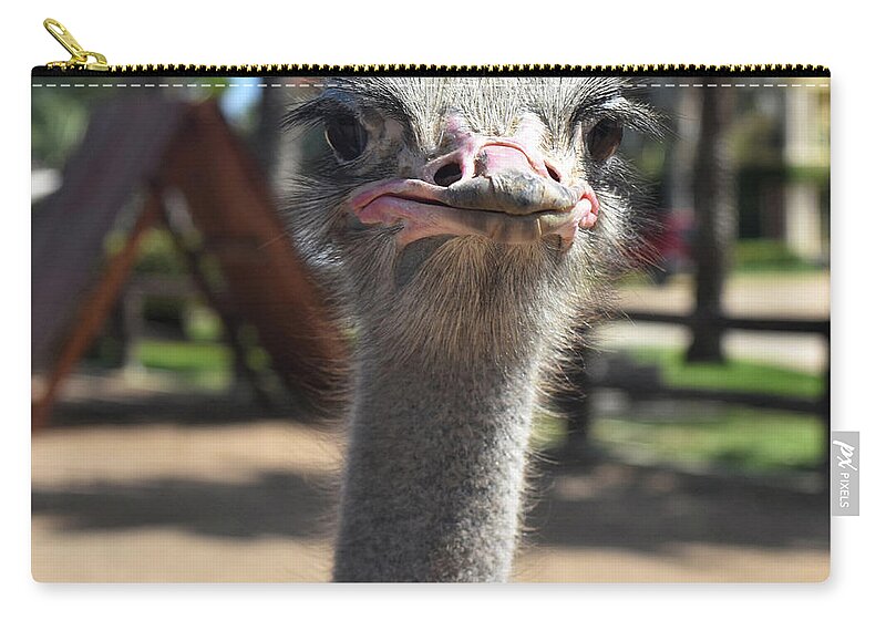 Silly Ostrich Making Very Funny Faces Carry-all Pouch by DejaVu Designs -  Pixels
