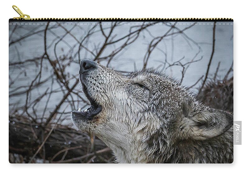 Wolf Wolves Howling Zip Pouch featuring the photograph Singing the Song of My People by Laura Hedien