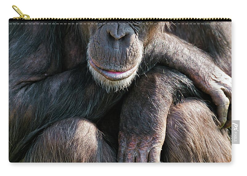 Tranquility Zip Pouch featuring the photograph Sitting Calm Chimpanzee by Picture By Tambako The Jaguar