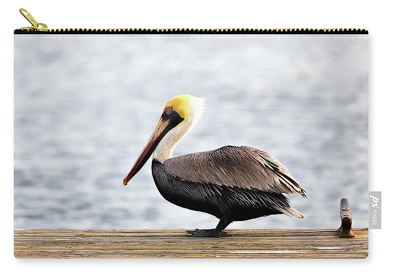 Pelican Zip Pouch featuring the photograph Sitting on the Dock of the Bay by Susan Rissi Tregoning