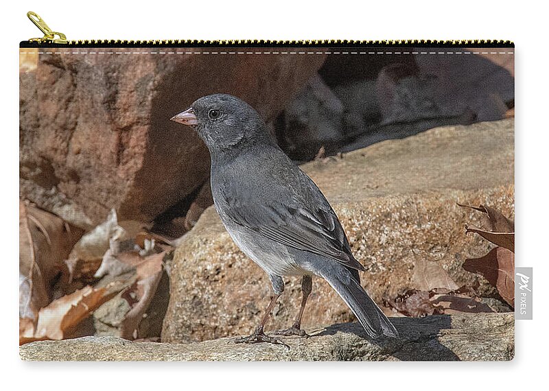 Nature Zip Pouch featuring the photograph Slate-colored Junco DSB0339 by Gerry Gantt