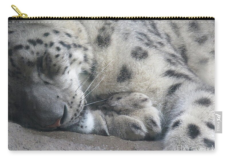 Close-up Zip Pouch featuring the photograph Sleeping Cheetah by Mary Mikawoz