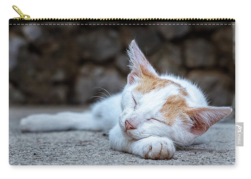 Animal Carry-all Pouch featuring the photograph Sleeping Kitty by Rick Deacon