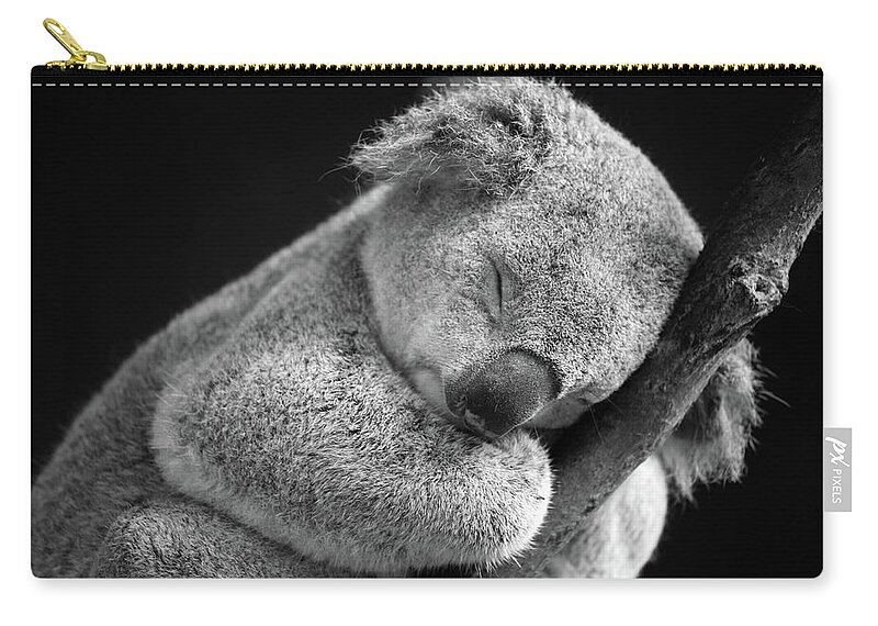 Animal Themes Zip Pouch featuring the photograph Sleeping Koala by David Morgan-mar