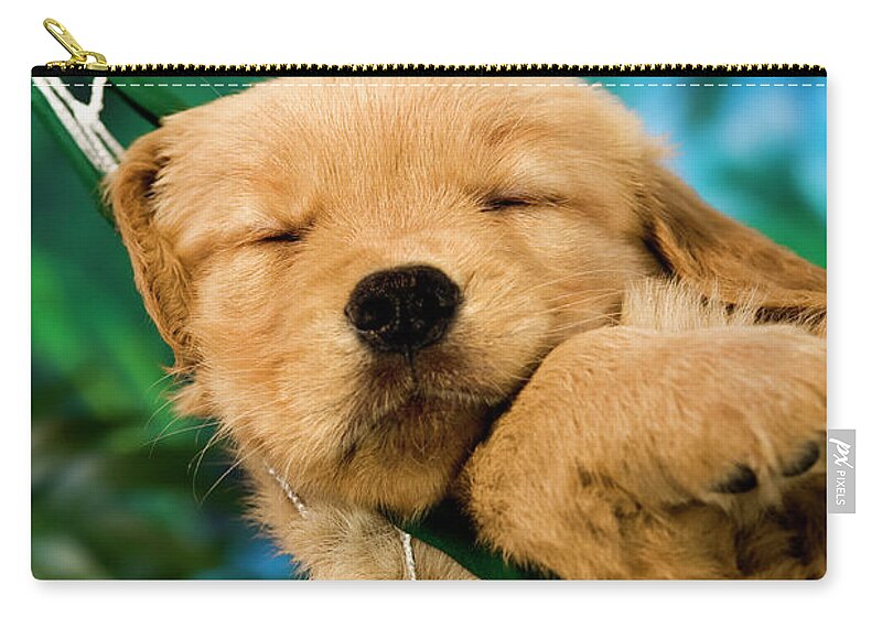 Pets Zip Pouch featuring the photograph Sleeping Puppy In A Hammock At A Beach by Cmannphoto