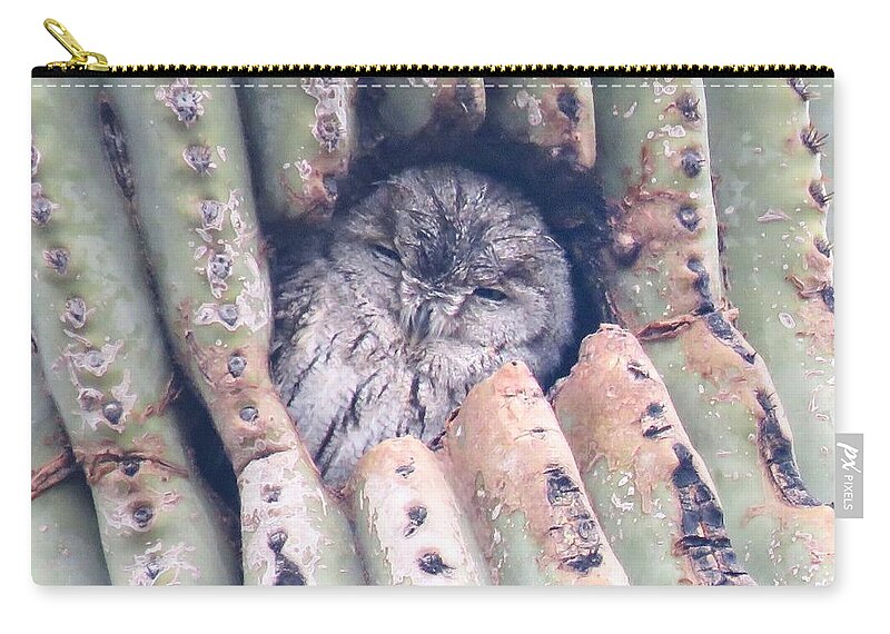 Animals Carry-all Pouch featuring the photograph Sleepy Eye by Judy Kennedy