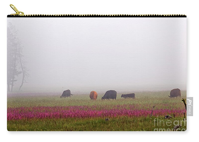 Spring Meadow Zip Pouch featuring the photograph Beef Cattle Grazing Foggy Flower Meadow by Robert C Paulson Jr