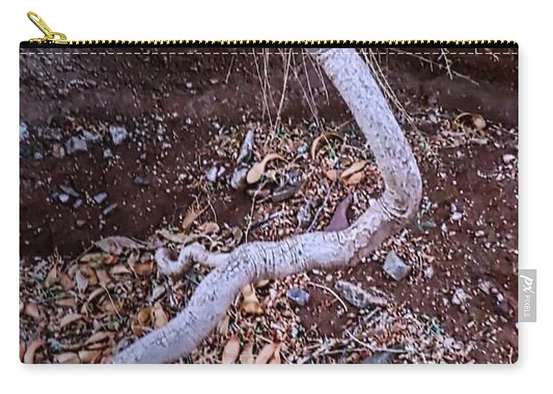 Affordable Zip Pouch featuring the photograph Snake Root by Judy Kennedy