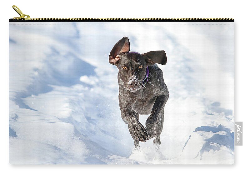 Snow Zip Pouch featuring the photograph Snow Bound Macie by Brook Burling