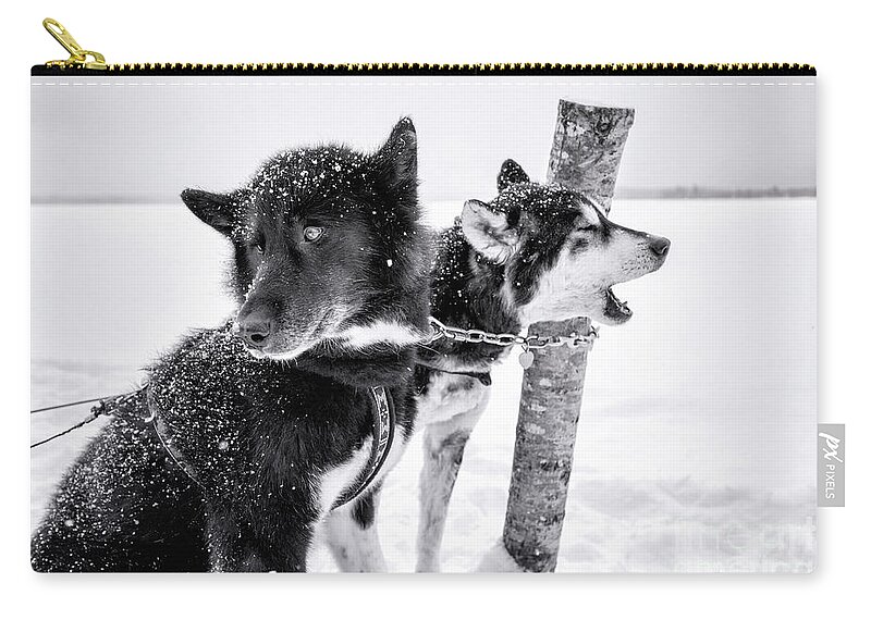 Dogs Carry-all Pouch featuring the photograph Snow Dogs by Becqi Sherman