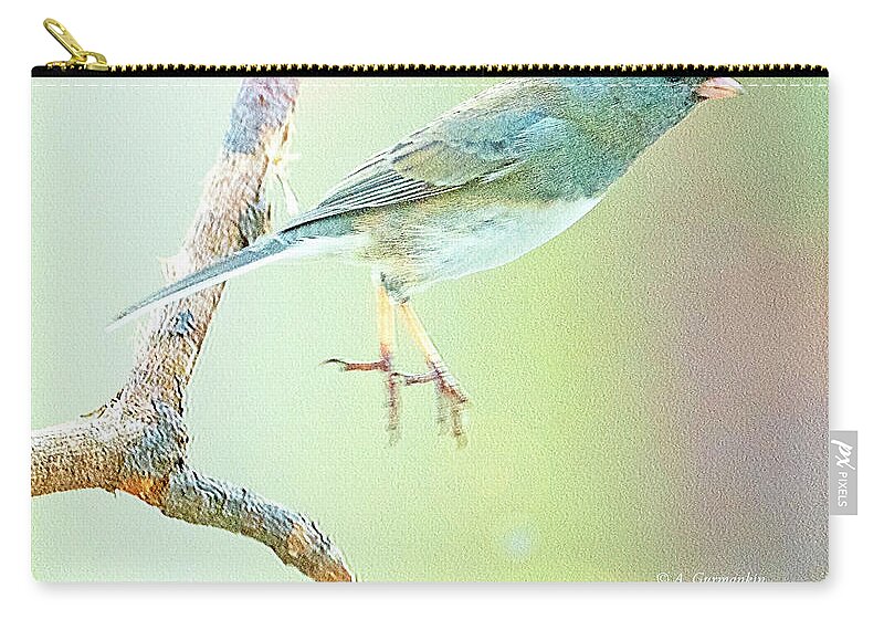 Snowbird Zip Pouch featuring the photograph Snowbird Jumps from Tree Branch by A Macarthur Gurmankin