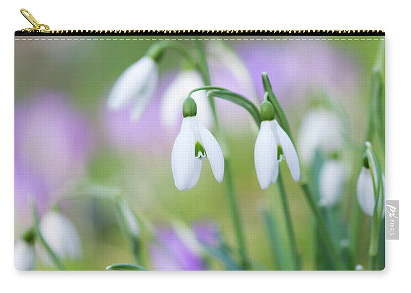 Snowdrop Zip Pouch featuring the photograph Snowdrops Flowering by Tim Gainey