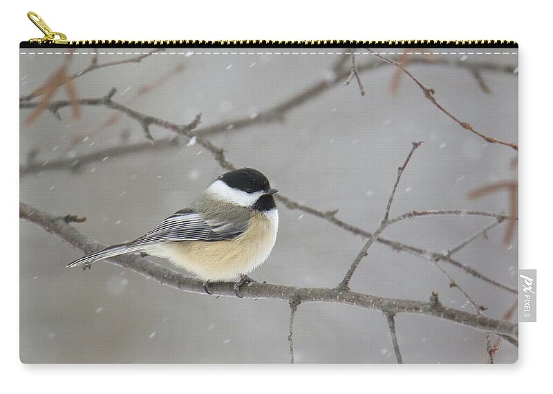 Chickadee Zip Pouch featuring the photograph Snowy Chickadee by Brook Burling