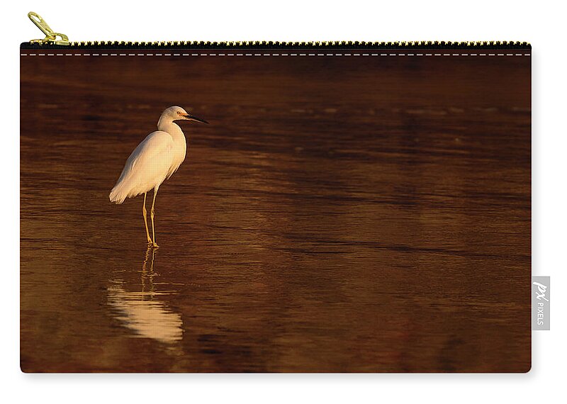 Animals Zip Pouch featuring the photograph Snowy Egret at Sunset by James Covello