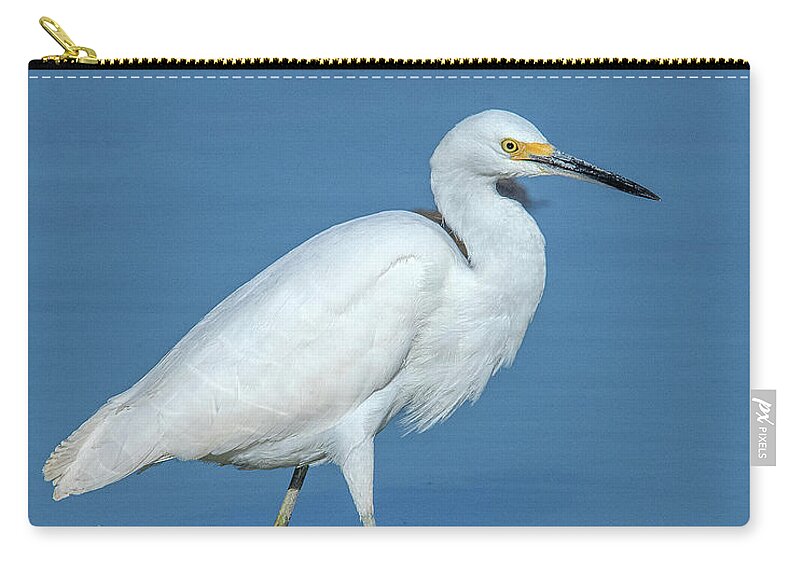 Nature Zip Pouch featuring the photograph Snowy Egret DMSB0182 by Gerry Gantt