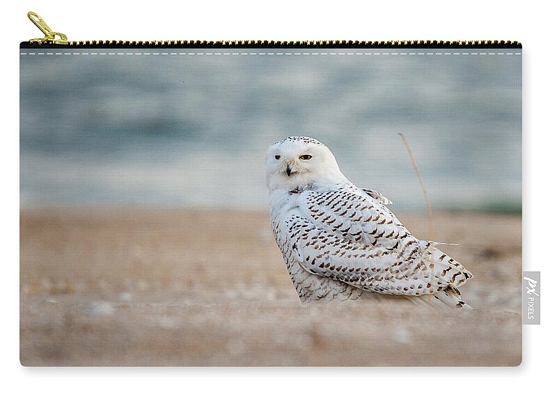 Owl Carry-all Pouch featuring the photograph Snowy Owl 5872 by Cathy Kovarik